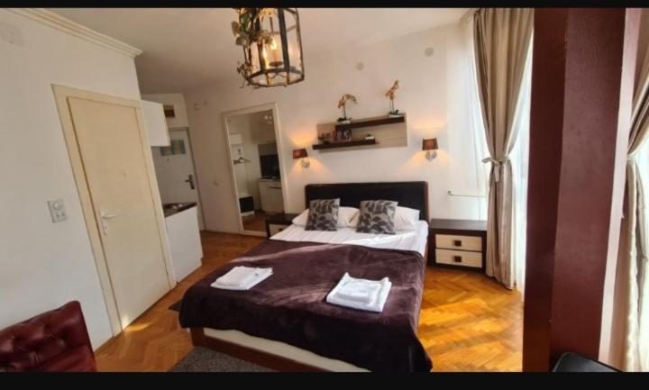 Visoki Stevan Apartments Beograd Bagian luar foto