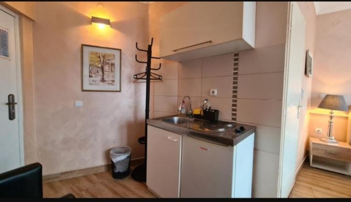 Visoki Stevan Apartments Beograd Bagian luar foto