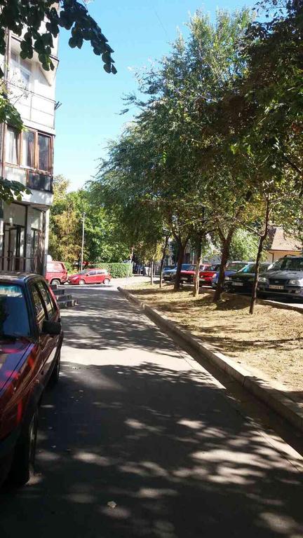 Visoki Stevan Apartments Beograd Bagian luar foto
